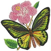 Floral Embroidery Design # FL8